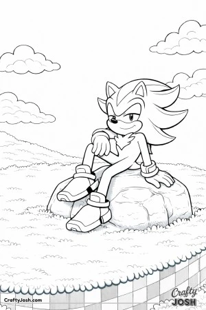 Shadow the Hedgehog sitting on a rock resting in a quiet grassy landscape