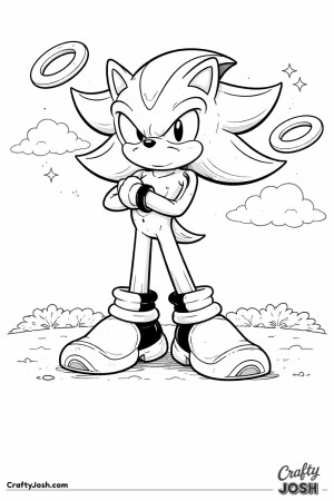 Shadow the hedgehog stands firmly with arms crossed, floating rings nearby and a simple sky with clouds behind him