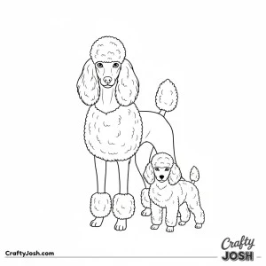 Adult and puppy poodle