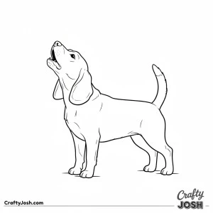 Beagle howling upward