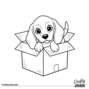 Beagle puppy in box