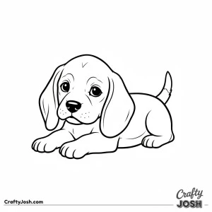 Beagle puppy lying paws forward