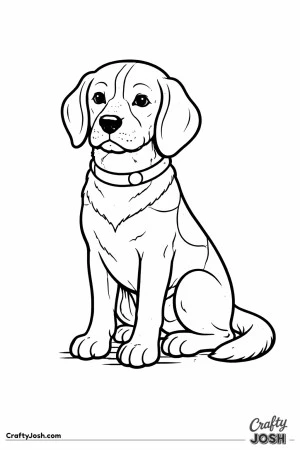 Beagle sitting alert