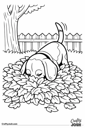 Beagle sniffing autumn leaves