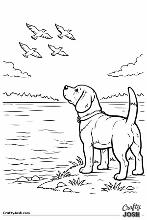 Beagle watching birds lake