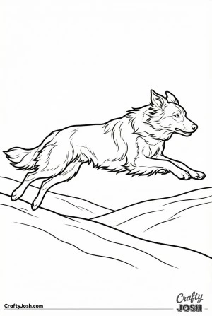 Border collie sprinting hillside