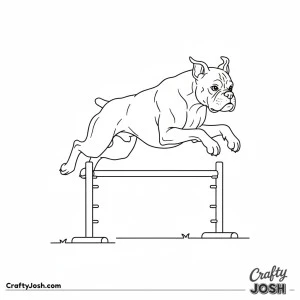 Boxer agility jump