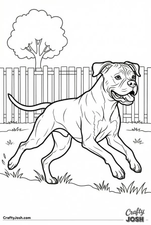 Boxer backyard zoomies