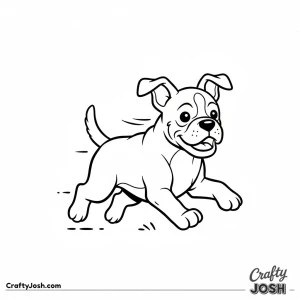 Boxer running playful