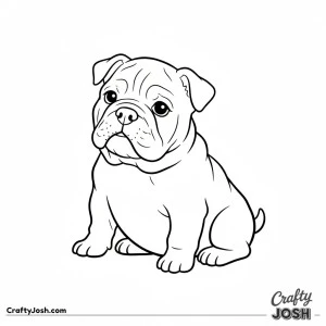 Bulldog puppy sitting head tilted