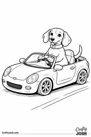 Dachshund driving car