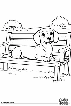 Dachshund in park on bench
