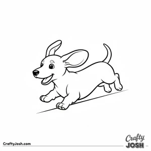 Dachshund puppy running diagonal