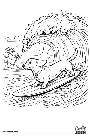 Dachshund surfing