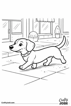 Dachshund trotting city sidewalk