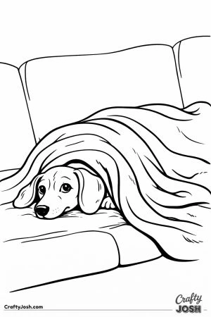 Dachshund under blanket
