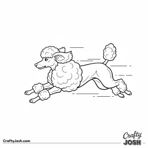 Diagonal leaping miniature poodle