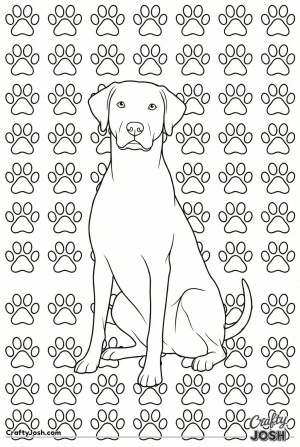 Dog with paw print pattern