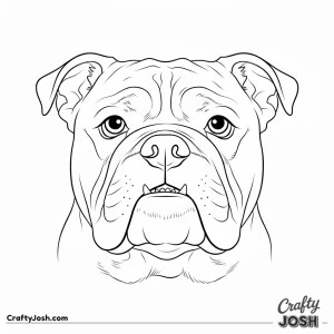 English bulldog adult and puppy