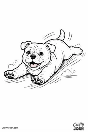 English bulldog puppy sliding