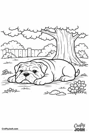 English bulldog resting in shade