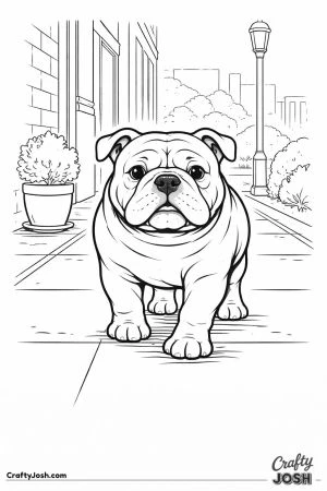 English bulldog walking sidewalk