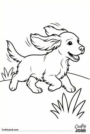 English cocker spaniel puppy running