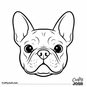 Expressive french bulldog face