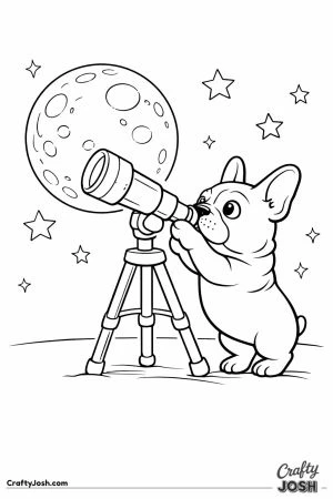 French bulldog astronomer