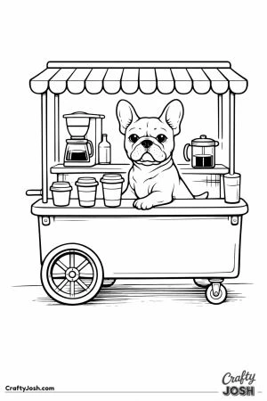 French bulldog barista