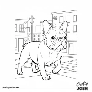 French bulldog city sidewalk