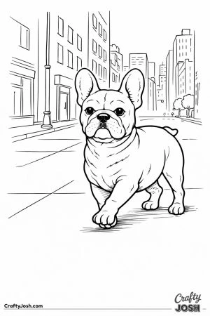 French bulldog city walk