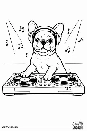 French bulldog dj