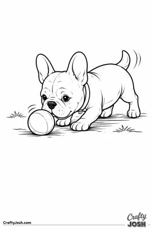 French bulldog playing ball