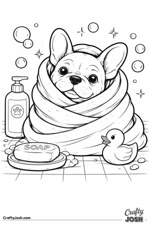 French bulldog puppy in towel