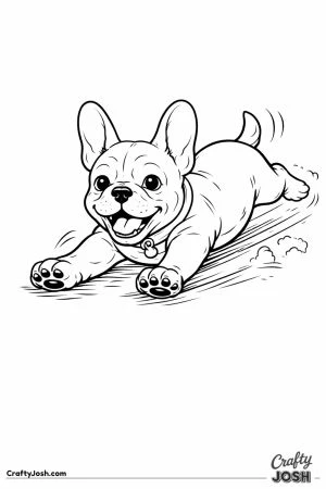 French bulldog puppy sliding