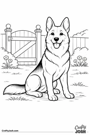 German shepherd garden