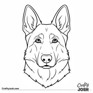 German shepherd head close up