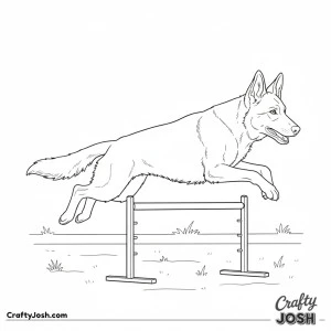 German shepherd k9 training jump