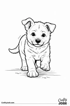 German shepherd puppy learning to walk