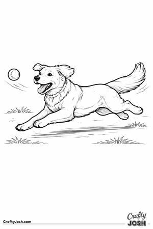 Golden retriever chasing ball