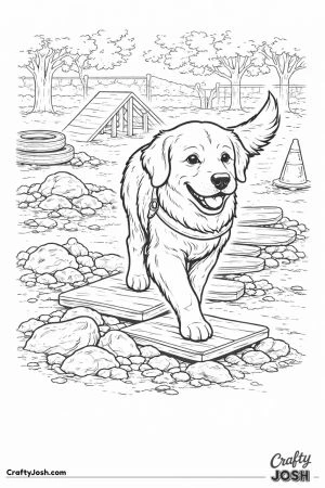 Golden retriever disaster training