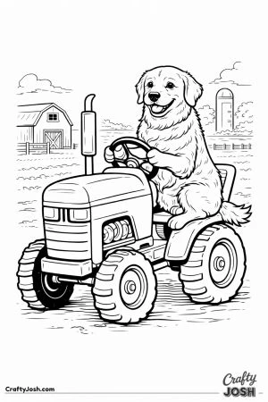 Golden retriever driving tractor