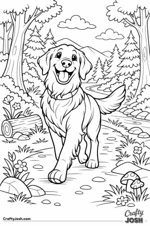 Golden retriever hiking trail