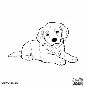 Golden retriever puppy lying down