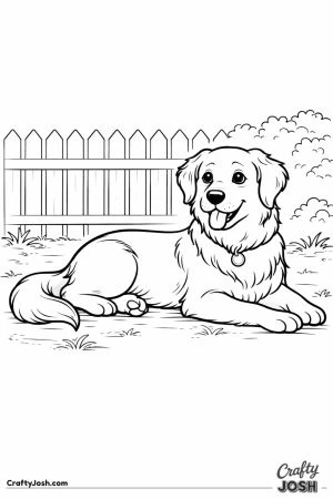 Golden retriever resting backyard