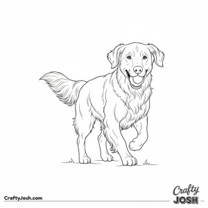 Golden retriever retrieving ball