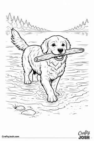 Golden retriever retrieving stick