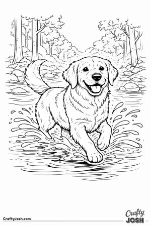 Golden retriever splashing stream