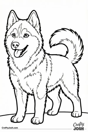 Happy standing husky